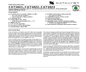 CAT1022RE-30TE13.pdf