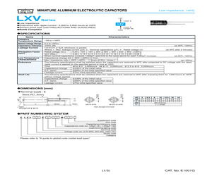 ELXV101ETC120MFB5D.pdf