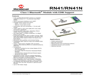 RN41HCI-I/RM.pdf