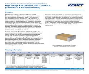 1A142-207V-001RJ\TR.pdf