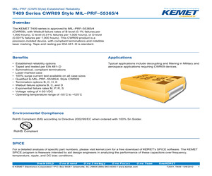 CWR09CB107MCB.pdf