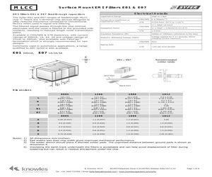 1806Y1000333MXTE07.pdf