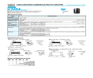 KMM450LC100M22C.pdf