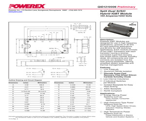 QID1210006.pdf