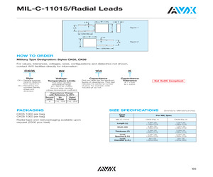 CK05BX102KPDIPTR1.pdf