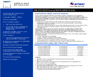 SLFLD25-256MM1U.pdf