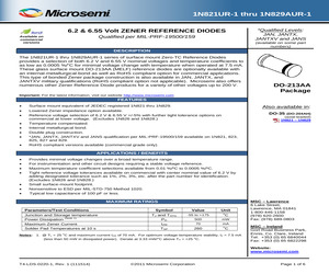 1N821UR-1-1%E3.pdf