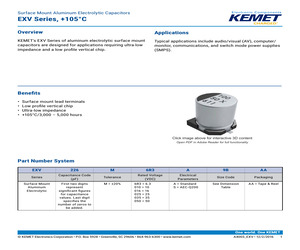 B72520T0080L062V09.pdf