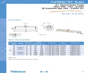 D300SE24C125QF.pdf