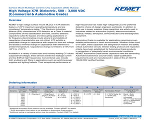 C20AKGR6100AASK.pdf