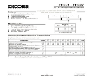 FR307.pdf