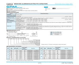 ESRM250ELL220ME05D.pdf