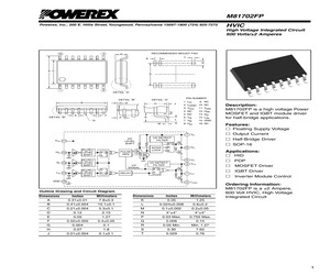 M81702FP.pdf