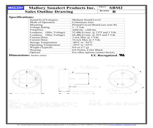 SBM2R.pdf