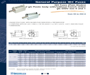 NH0GG50V100-3.pdf