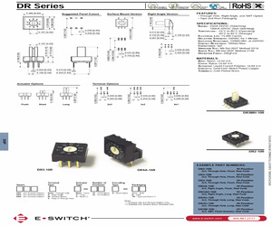 DR3-10R-B.pdf