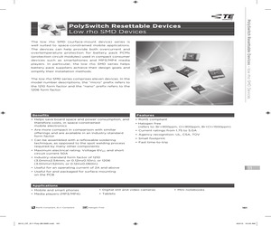 NANOSMD500LR-2.pdf