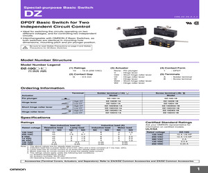 DZ-10GW22-1B.pdf