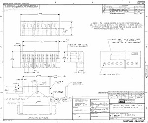 530555-1.pdf