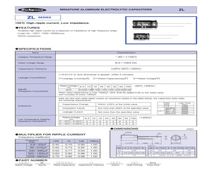 10ZL1000M10X16.pdf