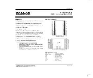 DS1230Y-200.pdf