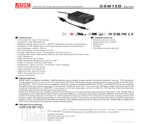 GSM18B18-P1J.pdf