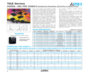 TAZG336K010LBSD0900.pdf