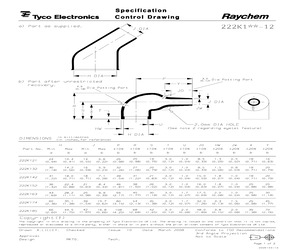 222K163-12-0.pdf