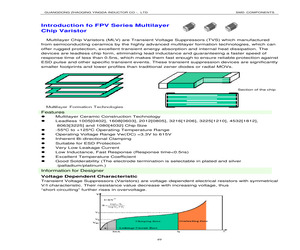 FPV100505G110SLB.pdf