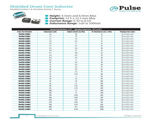 PA4303.102NLT.pdf