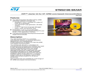 STM3210E-SK/IAR.pdf