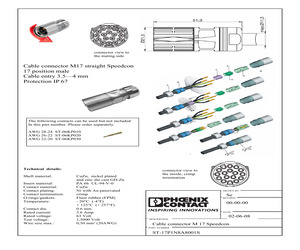 ST-17P1N8A8001S.pdf