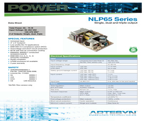 NLP65-9629.pdf