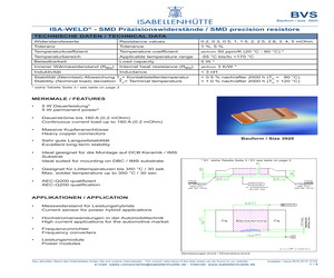 BVS-M-R0003-1.0.pdf