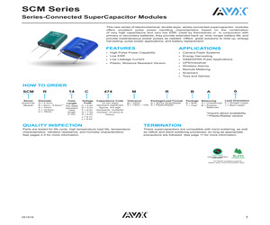 SCMR22H155MSBB0.pdf