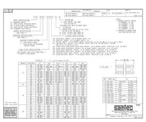 ICA-316-SGG-H.pdf