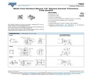 TS63Y-2K-10-D06.pdf