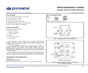 DIM1200NSM17-E000.pdf