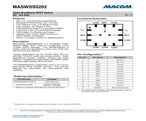 MASWSS0202SMB.pdf