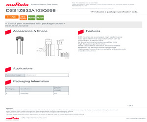 DSS1ZB32A103Q55B.pdf