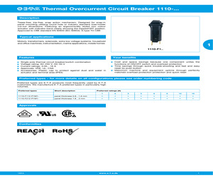 1110-F112-P1M1-2A.pdf