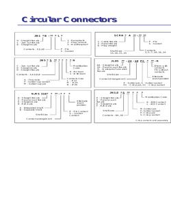 JN1FS10SL1.pdf