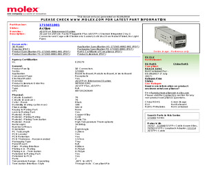 171565-1001.pdf