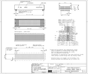 100301890001.pdf