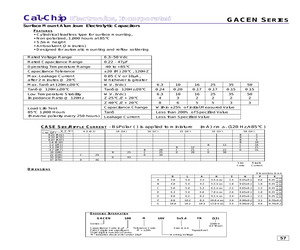 GACEN100M10V4X5.4TR(13).pdf