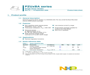 PZU6.2B2A.pdf
