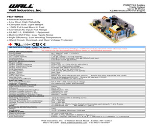 PSMPT45C.pdf