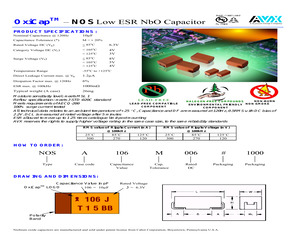 NOSA106M006A1000.pdf