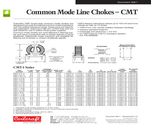 CMT1-1.1-15L.pdf