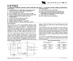CAT523PI.pdf